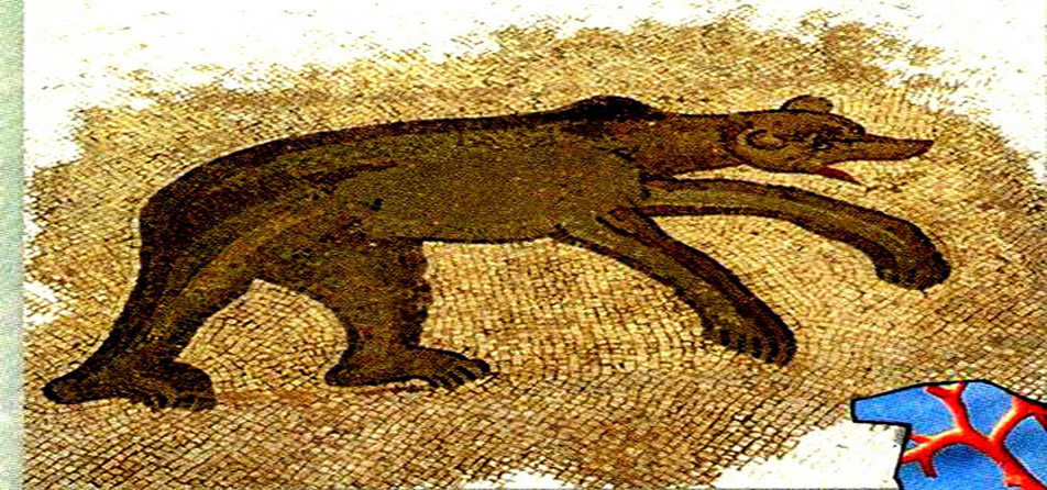 image40.jpg